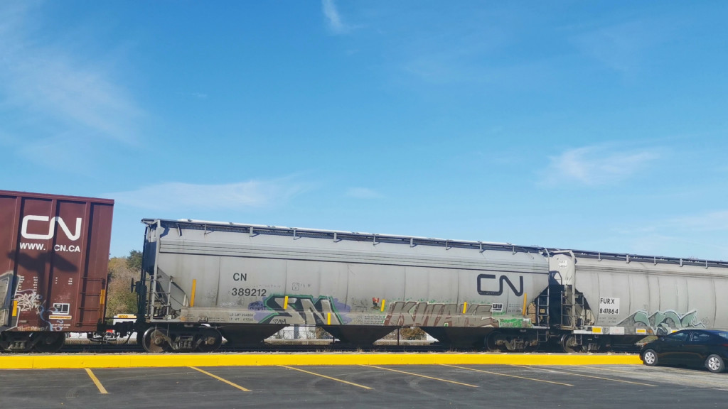 CN 389212